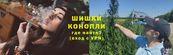 PSILOCYBIN Вязники