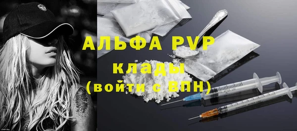 PSILOCYBIN Вязники