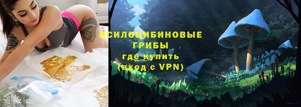 ешки Горно-Алтайск
