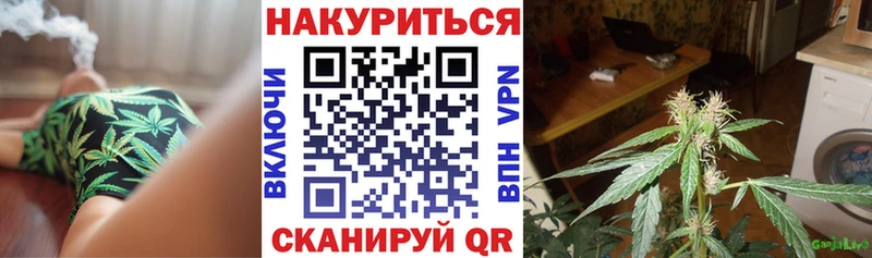 Шишки марихуана марихуана  Зеленоградск 